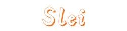 SLEI logo