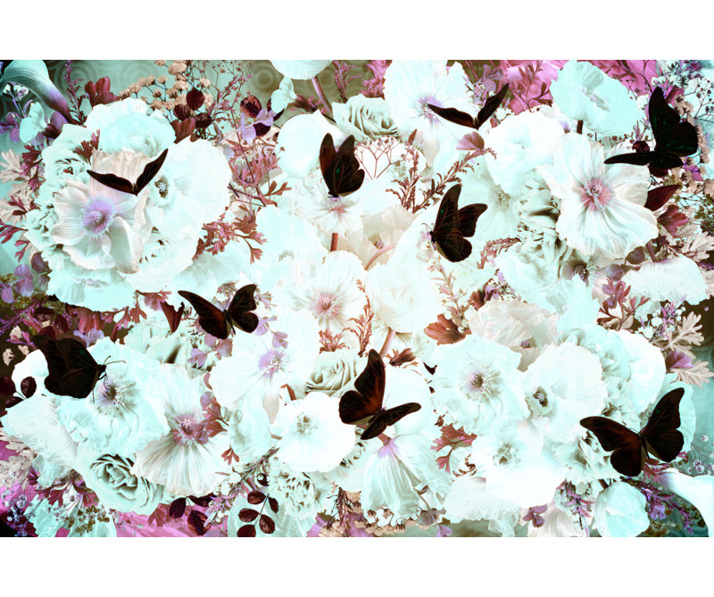 Wrapped Canvas Print, 50.8 cm H x 76.2 cm W