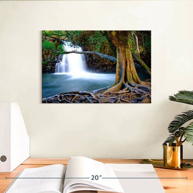 Cascade de l'ancien arbre d'Alvord Maui, H 8 po x l 12 po