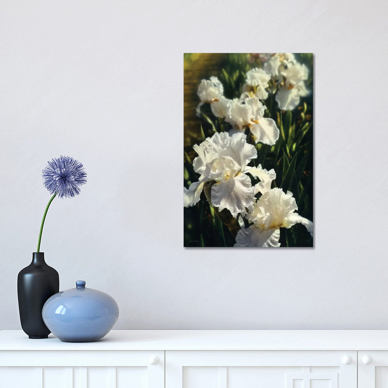«Iris Garden» par Collin Bogle - reproduction de photo, H 18 po x l 12 po x 1,5 po, Toile tendue, Aucun mat