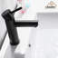 Robinet de salle de bain noir à un trou-63519614