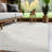 Bunny Modern High-Low Indoor Area Rug-76152144