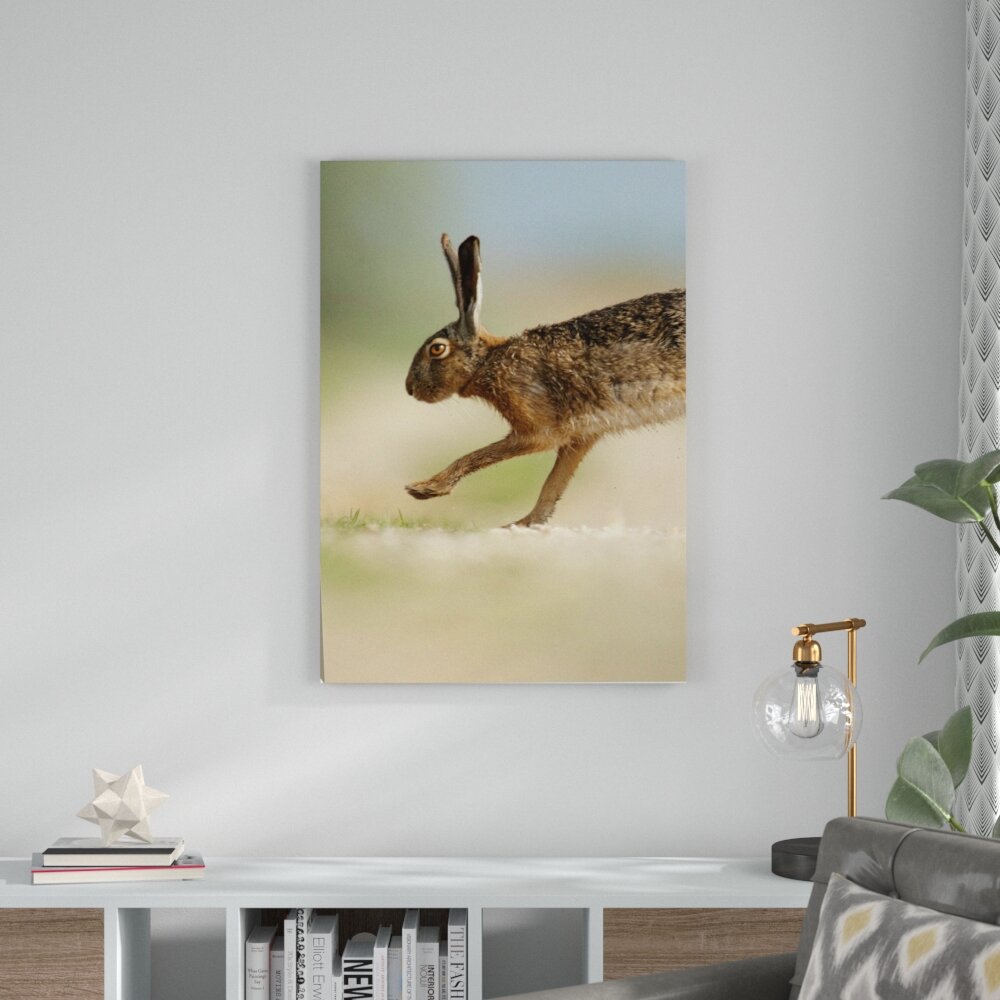 Leinwandbild Hüpfender Hase, Fotodruck