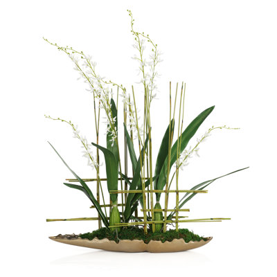 Cymbidiums asiatiques