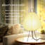 Lampe en papier Noguchi