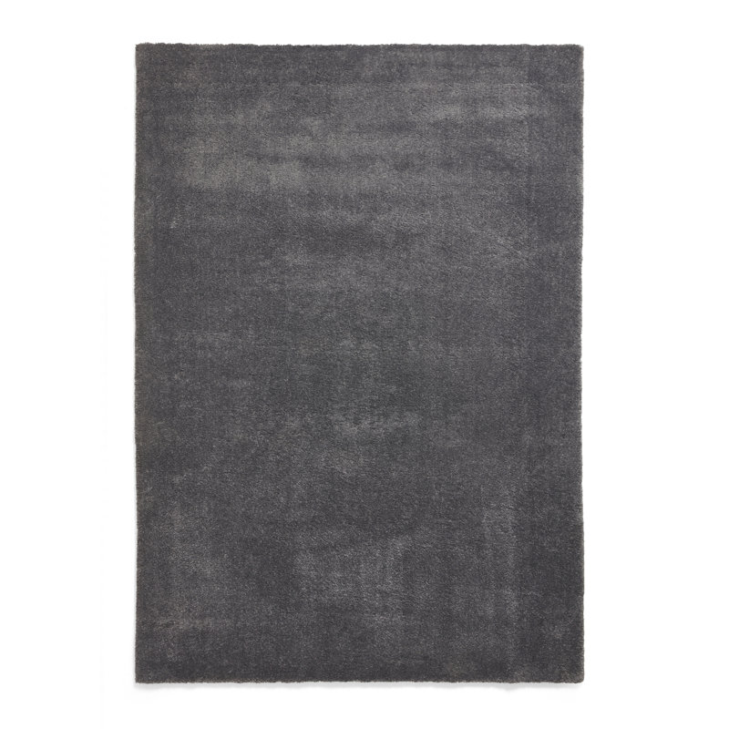 Hud area rug Machine Woven Rectangle Charcoal, Rectangle 60 x 115cm