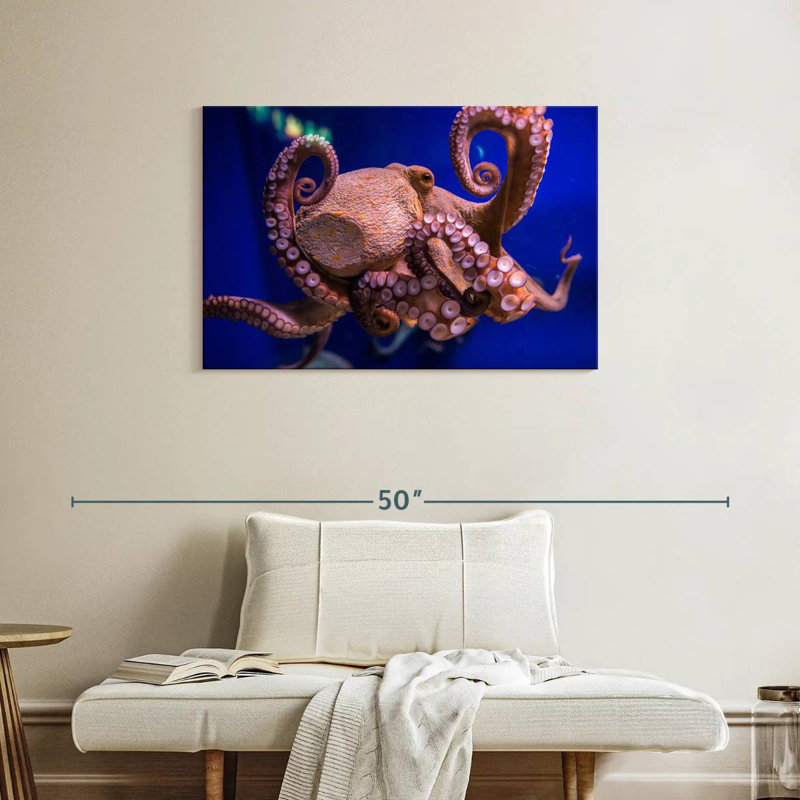 Octopus Prowess, 24" H x 36" W