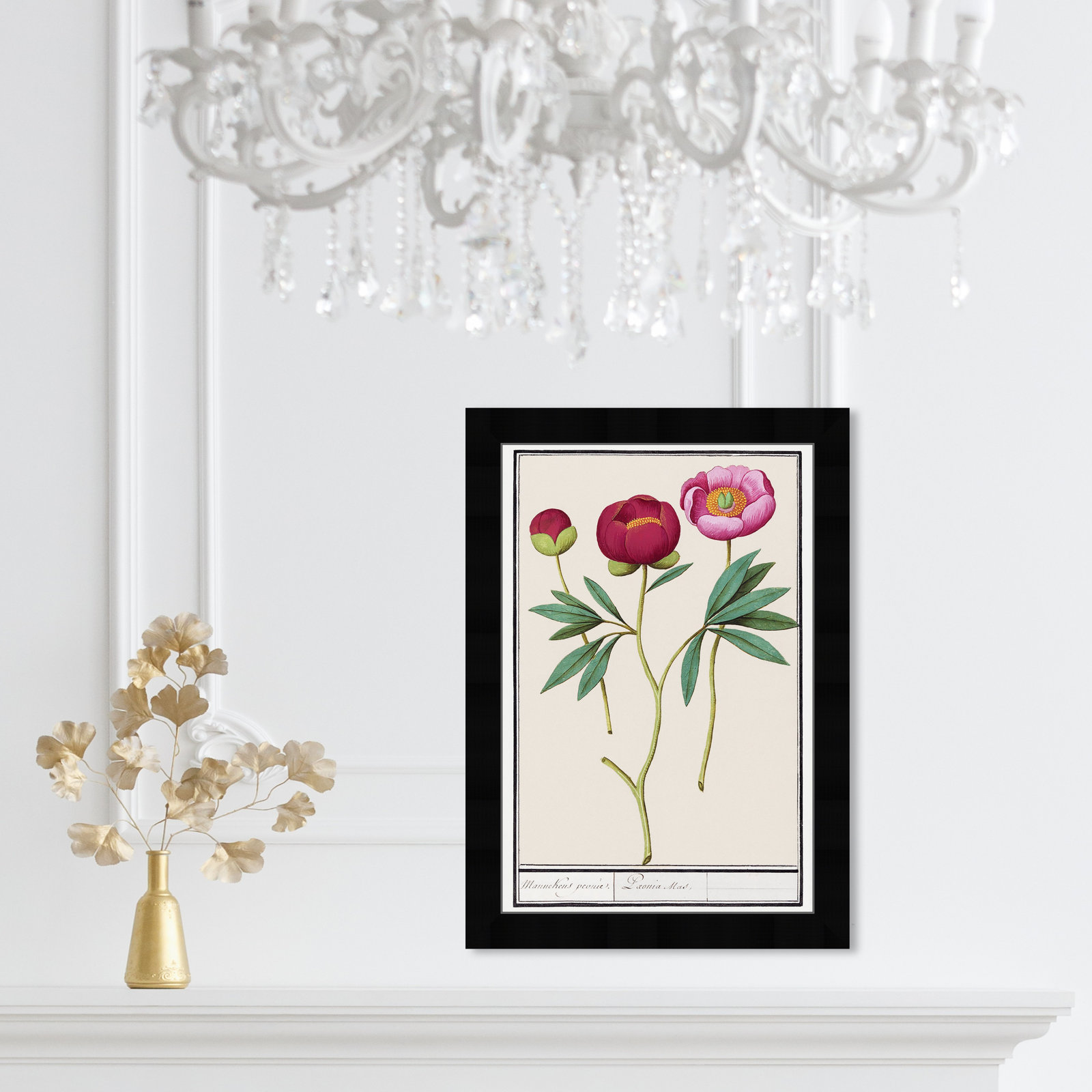 Red and Pink Peony Botanical Study Print, Black, 17" H x 12" W