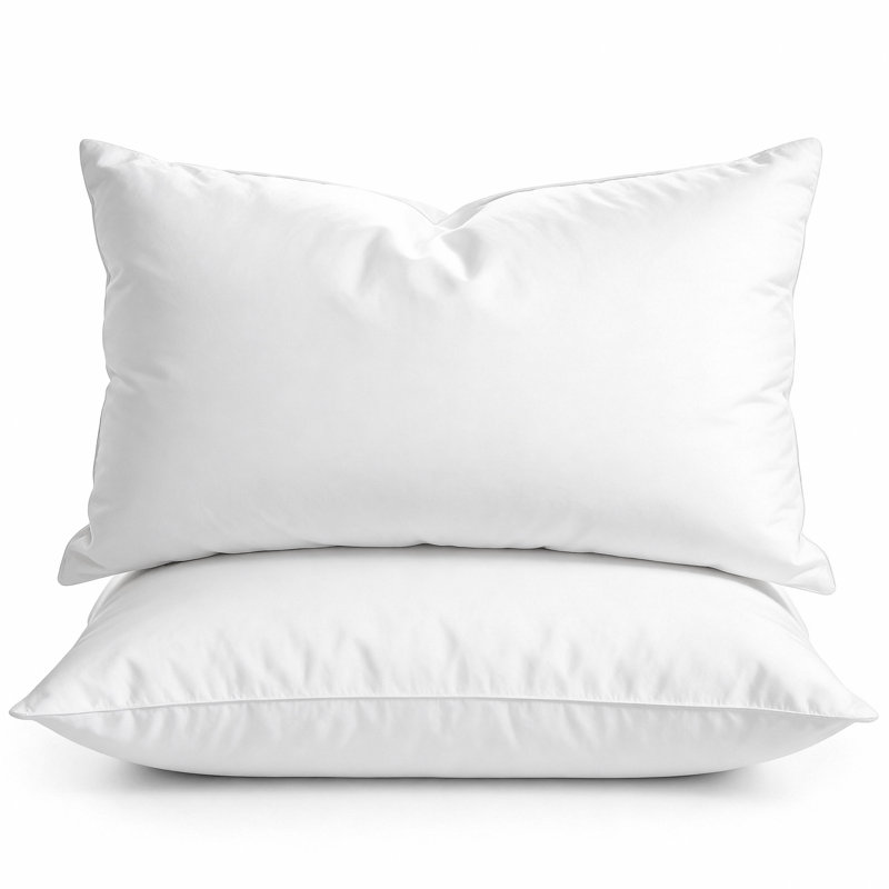 Hotel and Resort Goose Feather Pillows With Cotton Cover, Queen