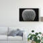 « notocactus scopa black », reproduction de photo sur toile tendue-1304692575