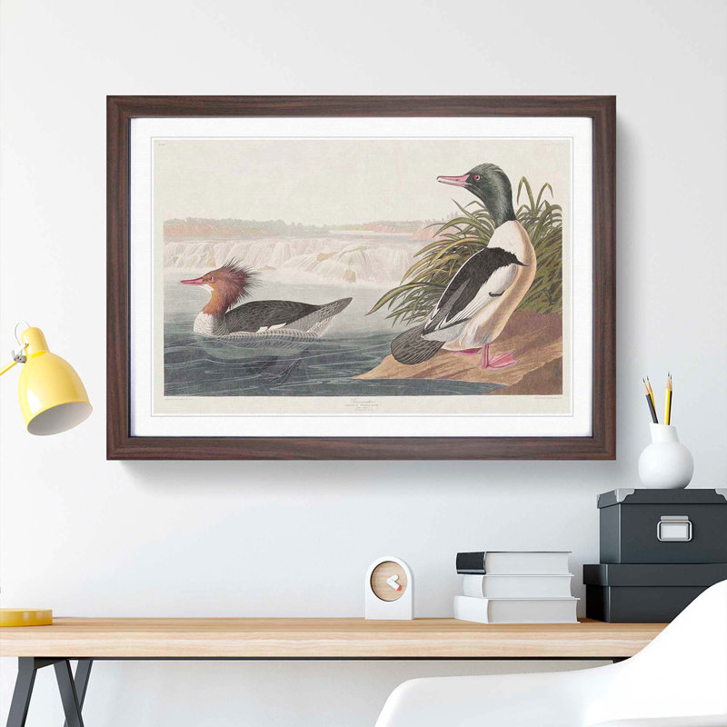 Goosander Ducks by John James Audubon - Picture Frame Art Print, Walnut Framed, 36cm H x 48cm W x 2cm D
