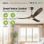 Ventilateur de plafond intelligent avec lumière et télécommande, télécommande et application, pales en bois massif, moteur à courant continu réversible-1791294300-1807521273