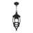 Alaray Outdoor Hanging Lantern