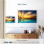 Gillard Palm Gillard Sun Rays-108822372