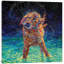 « Moonlight Swim » par Iris Scott - reproduction-1542994445-1542994444