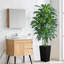 180cm Tree