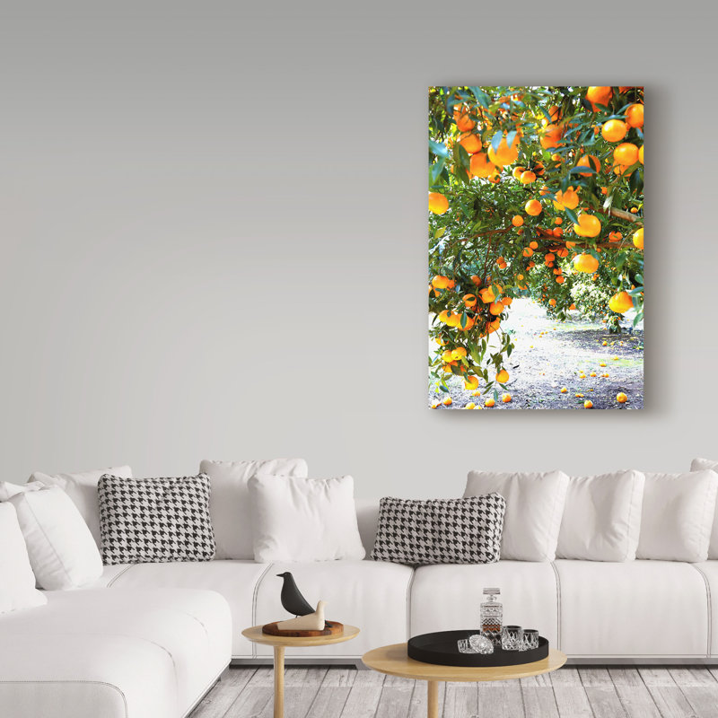 Incredi Orange Trees Gallery-Wrapped Canvas Art