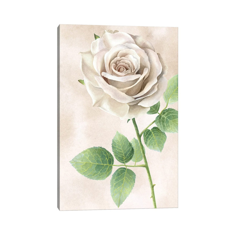 Ivory Roses Panel II by Kelsey Wilson - Wrapped Canvas Print, 20.32 cm H x 30.48 cm W