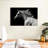 Brampt Arabian Horse-106051564