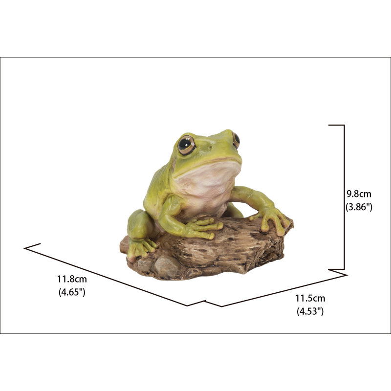 Tree Frog