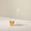 Waterford Celebration 11.5oz Tumbler