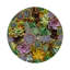Sous-verres Succulents Evergreen-119015173
