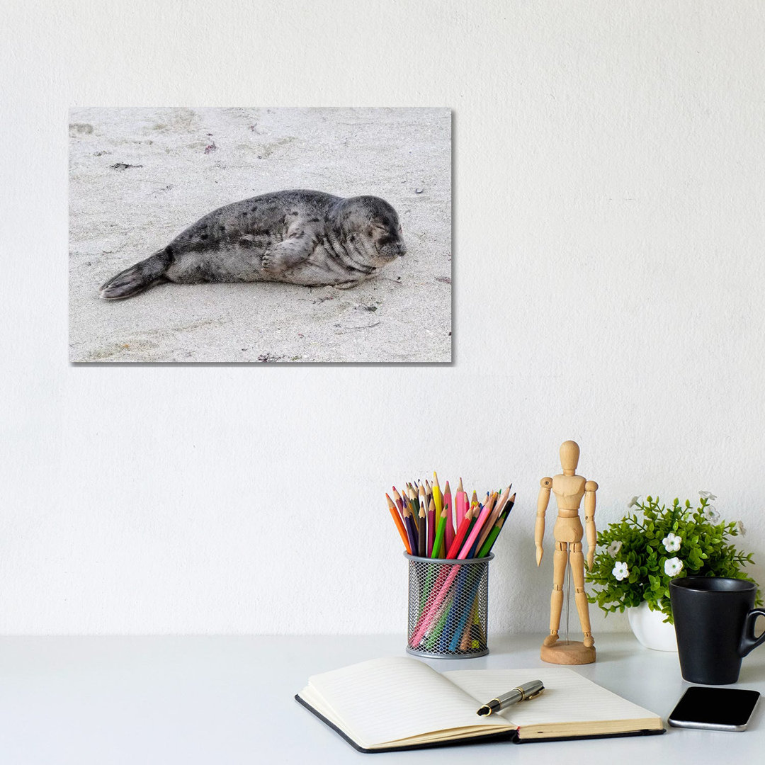 Resting Pup by Brian Wolf - Wrapped Canvas Print