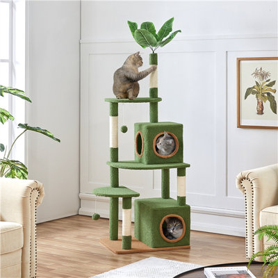 Eleigha 59'' H Cat Tree