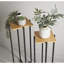 Sitha Plant Stand - Set of 2