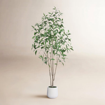 Ameswood 84" Eucalyptus Tree in Pot