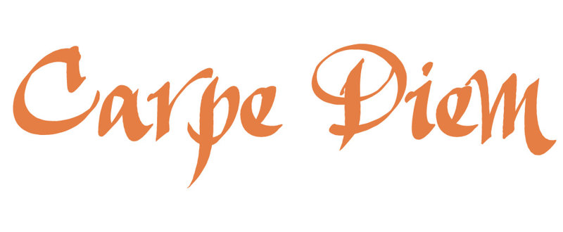 Décalcomanie murale indemnités journalières carpe diem, H 9,5 po x l 36 po x P 0,01 po, Kaki