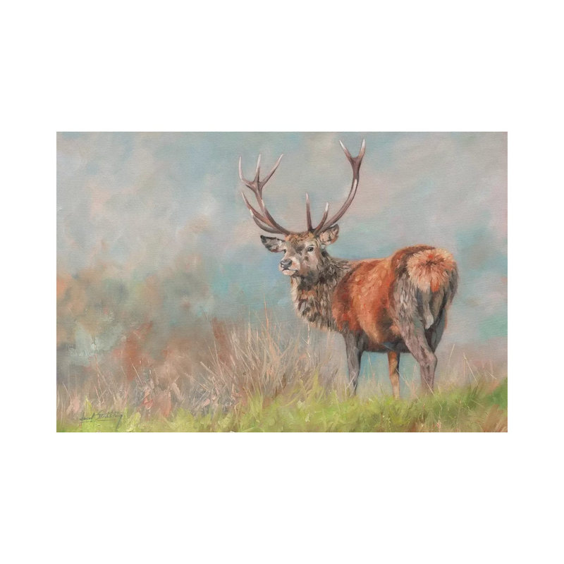 Red Deer II by David Stribbling - Wrapped Canvas Painting, 20.32 cm H x 30.48 cm W
