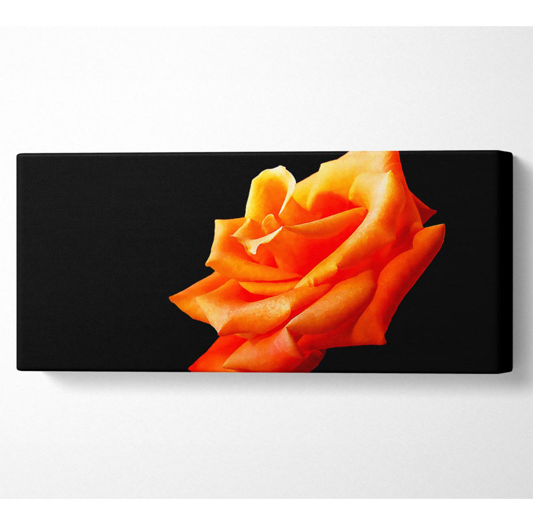 Einzelne Orange Rose In Bloom - Druck