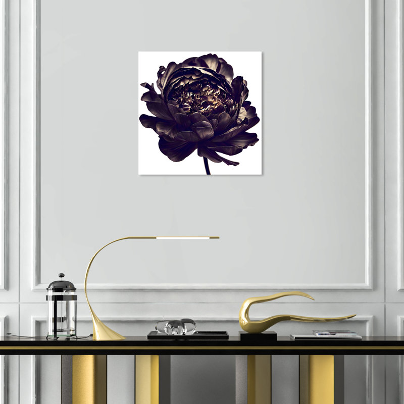 Pivoine noire - Impression sur toile, Toile tendue, H 16 po x l 16 po