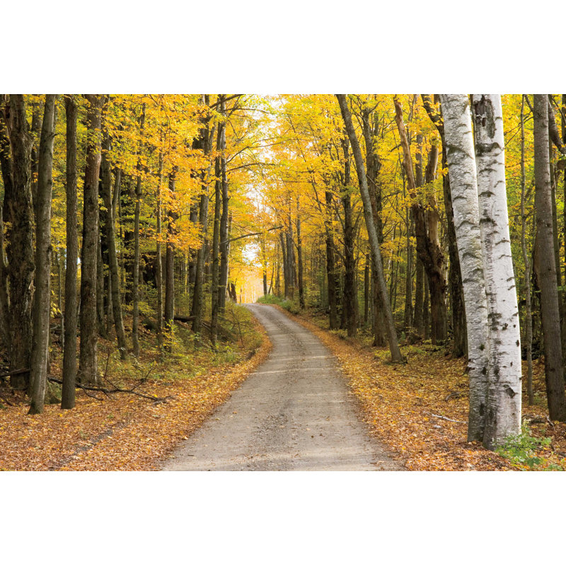 Vermont Country Road, H 12 po x l 18 po