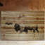 « bison troupeau walk », impression sur bois-20746544