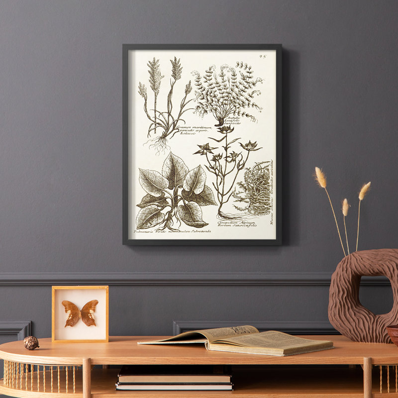 «Sepia Botanical Journal VII», reproduction encadrée - bois massif, Noir, H 28 po x l 22 po