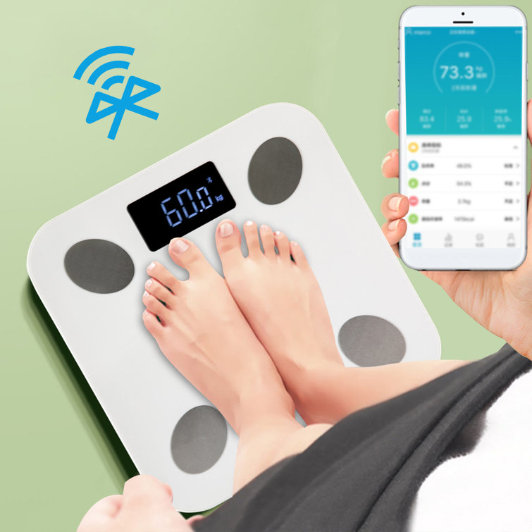 Smart BMI Digital Scale Bluetooth Scale White Wayfair Samples