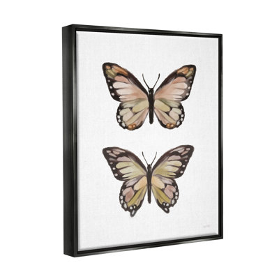 Ailes de papillon, insecte, art giclée par House Fenway