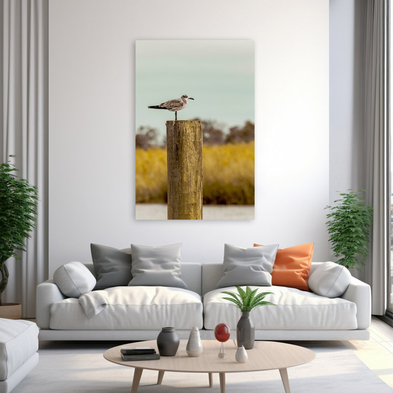 Goéland sur un pieux - St Augustine - paysages côtiers, photographie d'animaux, art, H 60 po x l 40 po