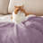 Bedsure GentleSoft™ Sherpa Twin/TwinXL Blanket – Thick All-Season Warm Bed Blanket –Teal– Ideal Gift for College Students-105504625-105504650
