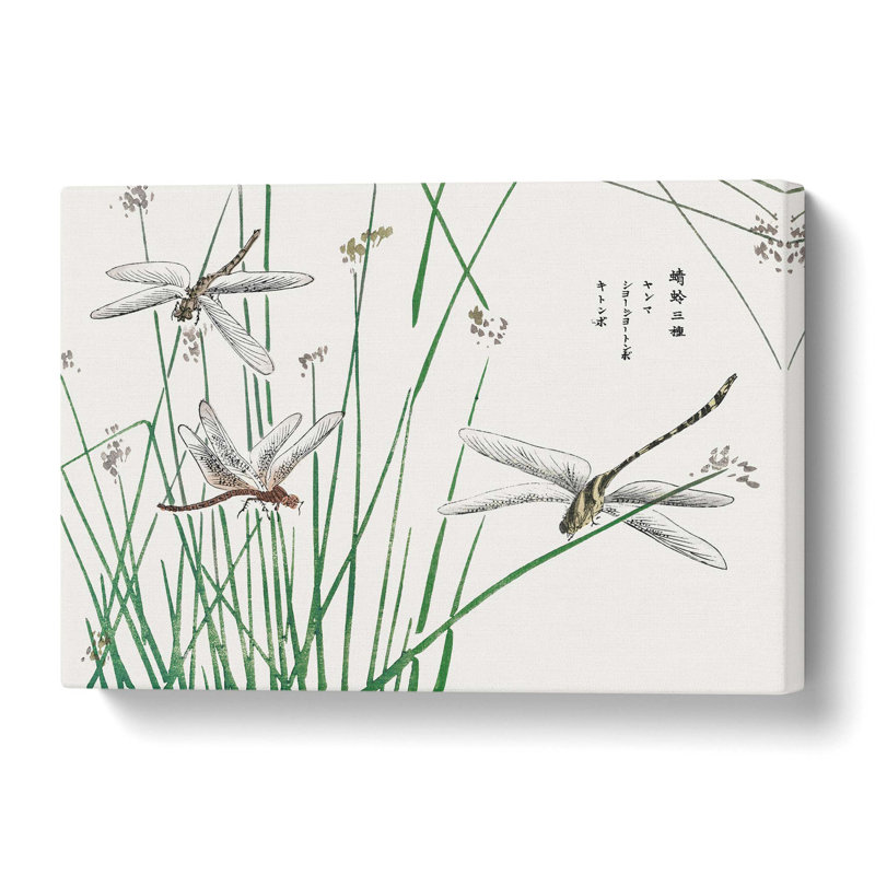 Dragonflies by Morimoto Toko - Wrapped Canvas Painting, 61 cm H x 91.4 cm W