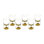 Sierra Gold Shot Glass Set