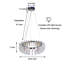 Lustre en cristal 23,6 pouces