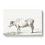 The Portrait Of A Cow by Jean Bernard - Wrapped Canvas Print-55358863