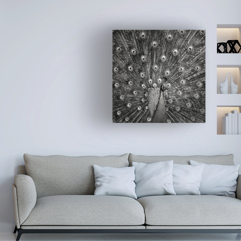 Art sur toile Christian Meermann Peacock 6, H 18 po x l 18 po x P 2 po