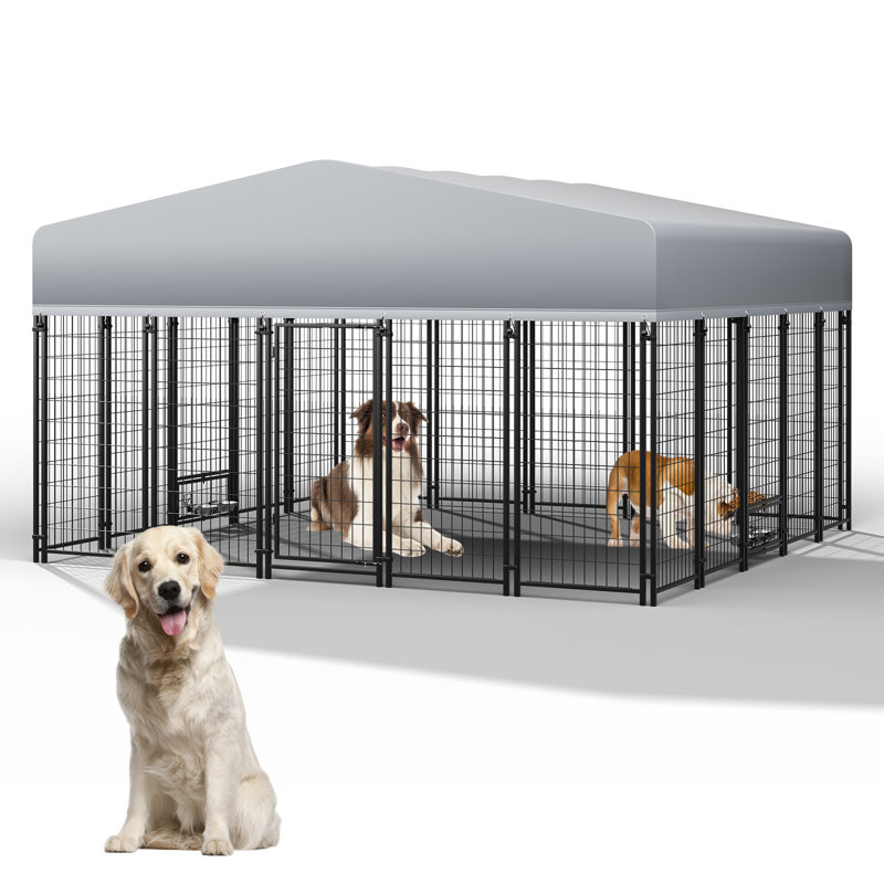 Grand chenil d'extérieur pour chien 122 po x 117 po x 71 po avec toit imperméable résistant aux rayons UV, porte pivotante et verrou sécuritaire 