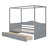 Haleena Twin Daybed with Drawers and Canopy-1646575022