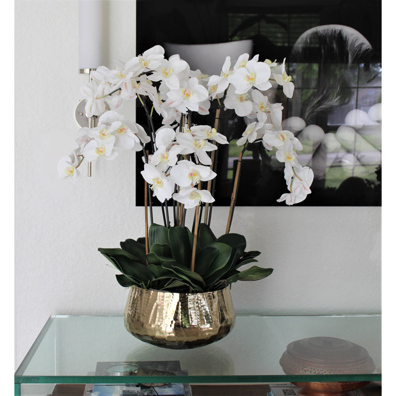 Roberi bowl with multiple stems of white Phalaenopsis orchids, 28" H x 18" W x 18" D, White