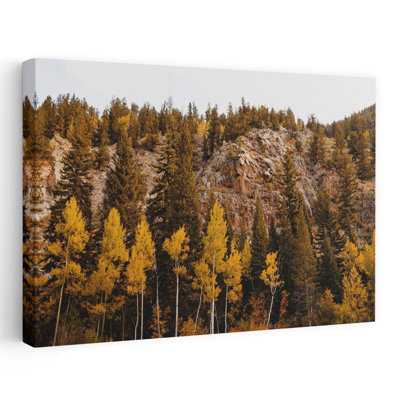 Guanella Pass Aspens